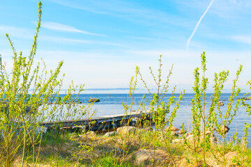 Spring morning landscape of a blue sky with a streak of fog in the distance, the shore of the large Lake Onega in Karelia.