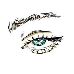 illustration detail eye eyebrow human body part vector