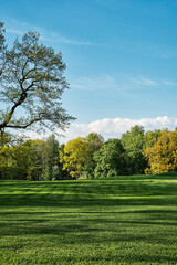 Spring park, freshly cut lawn, vertical frame, background or wallpaper idea.