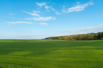 Agro-industrial complex for the cultivation of cereals, wheat, rye, corn and barley. The use of low-quality and non-natural fertilizers for the sowing campaign. Poor harvest and the threat of famine.