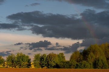 A multicolored rainbow over a plowed agricultural field during the rain. Beautiful spring natural landscape. Beautiful nature of Belarus.
