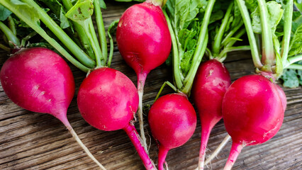 Ripe red radish lies on a wooden background.