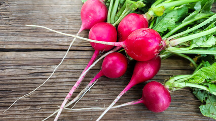 Ripe red radish lies on a wooden background. - 508504343