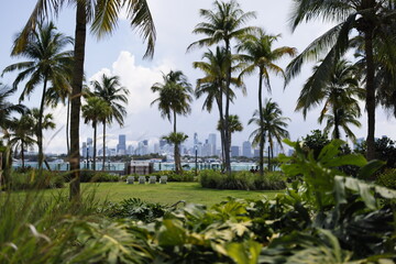 View of city of Miami across a Biscayne Bay lagoon in Miami Beach Florida USA