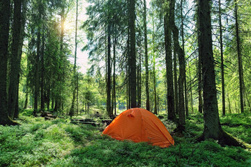 tourist tent in forest, natural background. Summer active holidays. freedom adventure, privacy, unity with wild nature, tourism and travel concept. Camping place