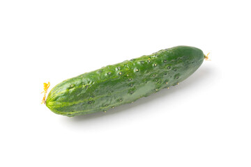 fresh green cucumber with pimples on a white background, the concept of healthy food and non-gmo products, selective focusing, macro photos from different angles, reflection on white