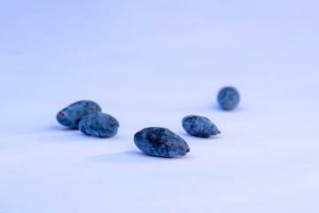 Blue honeysuckle berries on white paper