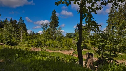 Bei der Erbstromquelle.