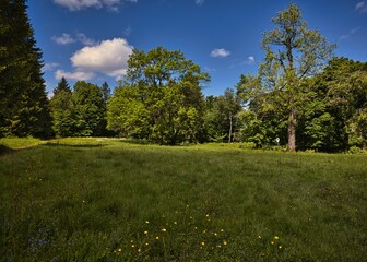 Die Flur "Auf der Tanzbuche" bei Friedrichroda.