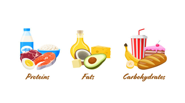 Set of big 3 macronutrients foods in cartoon style. Vector illustration of proteins , fat and carbohydrates. Nutrients