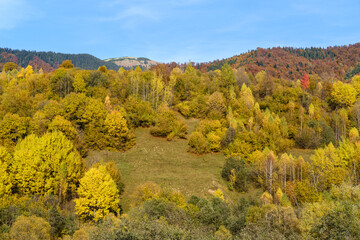 Autumn morning Carpathian Mountains calm picturesque scene, Ukraine. Peaceful traveling, seasonal, nature and countryside beauty concept scene.