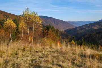 Autumn morning Carpathian Mountains calm picturesque scene, Ukraine. Peaceful traveling, seasonal, nature and countryside beauty concept scene.
