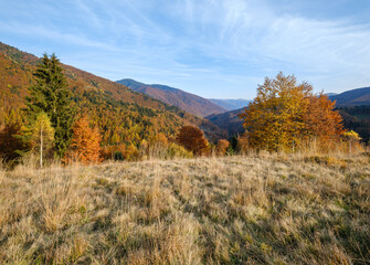 Autumn morning Carpathian Mountains calm picturesque scene, Ukraine. Peaceful traveling, seasonal, nature and countryside beauty concept scene.