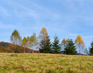 Autumn morning Carpathian Mountains calm picturesque scene, Ukraine. Peaceful traveling, seasonal, nature and countryside beauty concept scene.