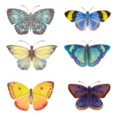 Obraz na płótnie Canvas Set of watercolor butterflies isolated on white background. Butterflies drawn on paper for design, print, wallpaper, textile.