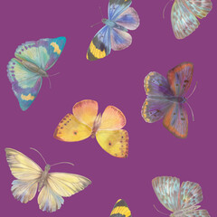 Seamless pattern Watercolor butterflies on a bright background. Botanical background of butterflies for design, wallpapers, wrapping paper, textiles.