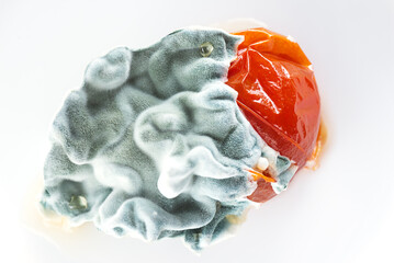 Blue mold with red tomato on a white background. Horizontal orientation, top view.