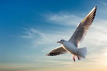 Zelfklevend Fotobehang Beautiful sunny sky with white clouds and flying seagull birds © BillionPhotos.com