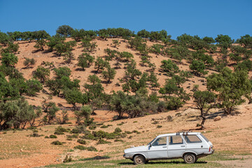 old Renault 12 familiar in front argan grove, Isk n Mansour park, road from Essaouira to Agadir,morocco, africa