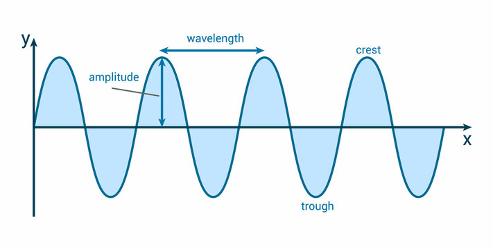 Transverse Wave Labeled