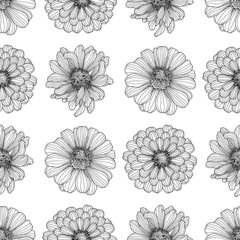 Regular seamless pattern from Zinnia flower heads drawings in black outline on a white background. Decorative print for wallpaper, wrapping, textile, fashion fabric or other printable covers.