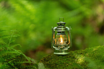森とオイルランタン