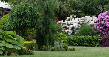 A beautiful, well-kept garden © Beenis