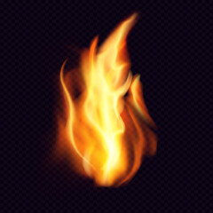 Fire PNG. Realistic Fire flame with transparent background. Burning red wildfire flame, blazing fiery spurts of flame, burn bonfire silhouette