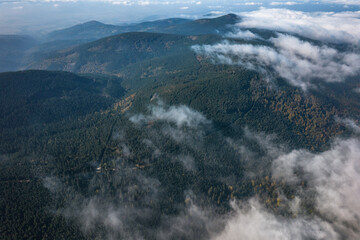 Aerial view of the coniferous forest and green mountains. Clouds low over the peaks.