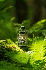 森林とオイルランタン