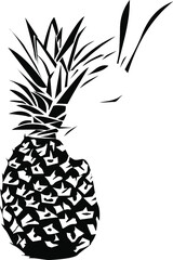 Gestalt icon of rabbit and ananas on isolated white background. - obrazy, fototapety, plakaty