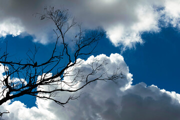 Clouds in Australia