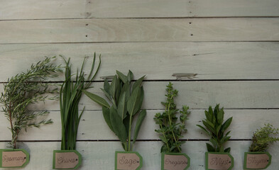 Bundled culinary herbs on a wooden plank background. Individually tagged.  Copy Space.