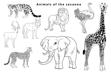 Animal savannahs in doodle style. Safari park.