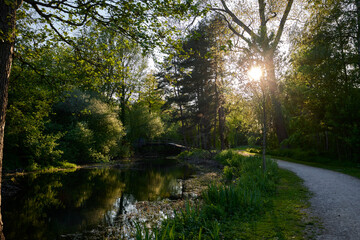 Fototapeta na wymiar Small river and trees in Provincial Domain Rivierenhof - Antwerp