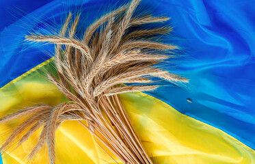 grain wheat and spikelets on a blue background. Ukrainian grain and problems of blockade of ports.