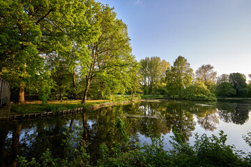 Fototapeta na wymiar Pond and trees during the sunset in Provincial Domain Rivierenhof