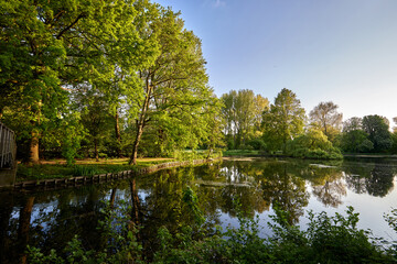 Pond and trees during the sunset in Provincial Domain Rivierenhof