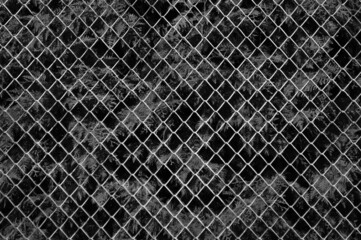 Fototapeta premium metal mesh,in the photo a mesh on a gray background