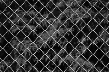 Fototapeta premium metal mesh,in the photo a mesh on a gray background