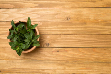 Wooden bowl with melissa on wooden background, top view