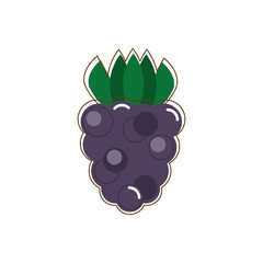 Vector illustration of blackberry in flat style. Summer sticker.