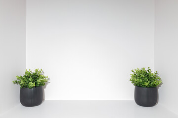 Two black pots with plants on a white background with negative space for text
