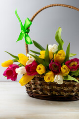 Basket with a bouquet of colored tulips on a white background