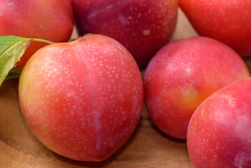 Fototapeta na wymiar Fruits of the harvested japanese plum