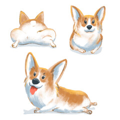 group of corgi dogs watercolor