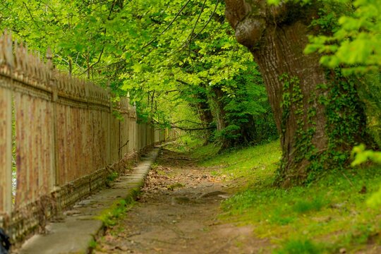 Camino rom&aacute;ntico en paisaje de primavera
