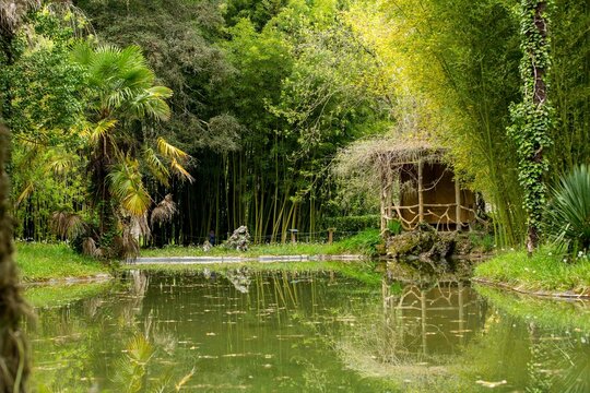 Lugar rom&aacute;ntico con paisaje natural