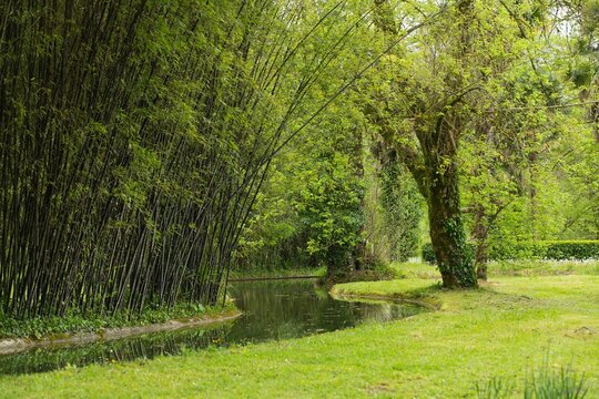 Sitio rom&aacute;ntico en paisaje natural