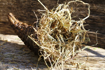 hay nest for the small chicken birds